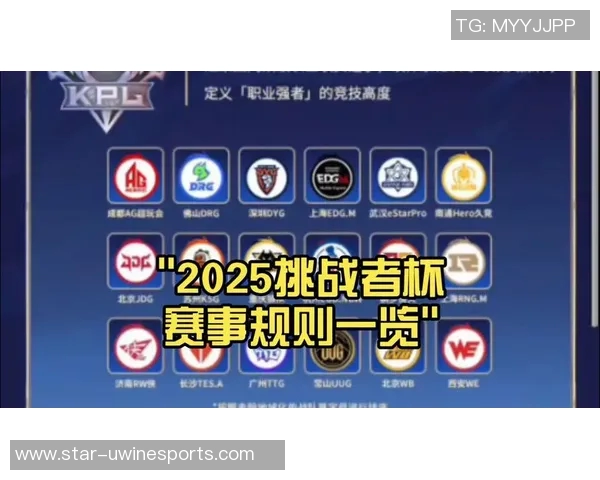 挑战者杯赛中EDG选手个人能力的深度分析与点评